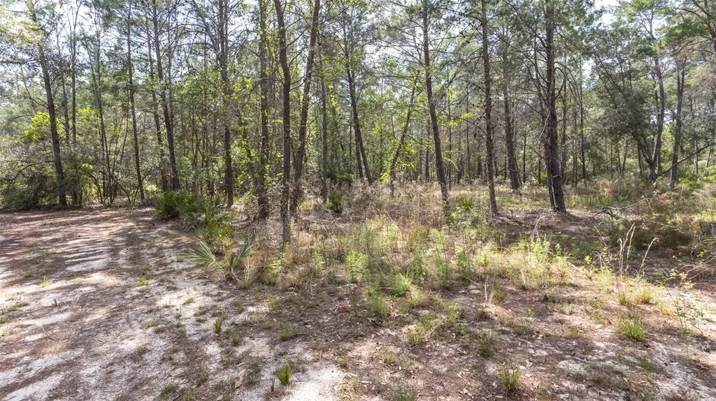 5276 Organic Road Melrose FL 32666