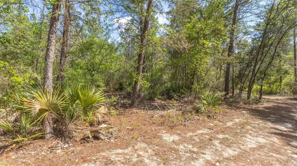 5276 Organic Road Melrose FL 32666
