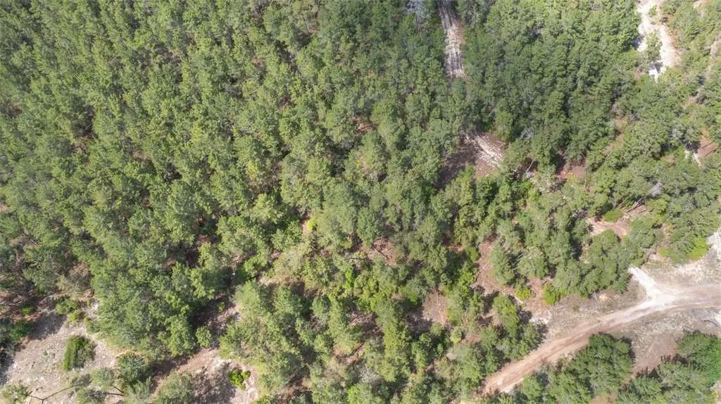 5276 Organic Road Melrose FL 32666