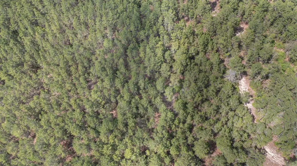 5276 Organic Road Melrose FL 32666