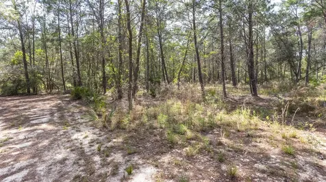 5276 Organic Road Melrose FL 32666