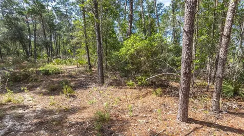 5276 Organic Road Melrose FL 32666