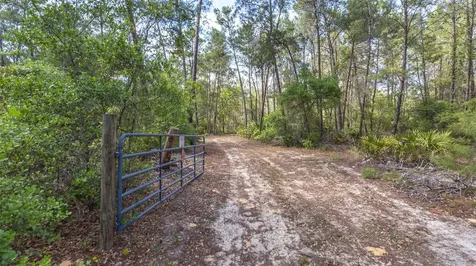 5276 Organic Road Melrose FL 32666