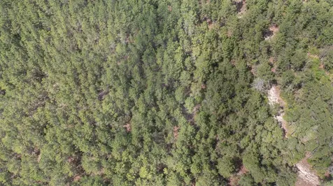 5276 Organic Road Melrose FL 32666