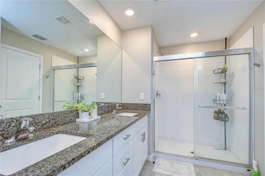 17917 Cloudless Bliss Drive Lutz FL 33558