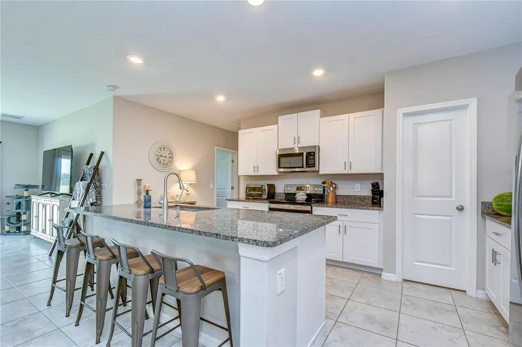 17917 Cloudless Bliss Drive Lutz FL 33558