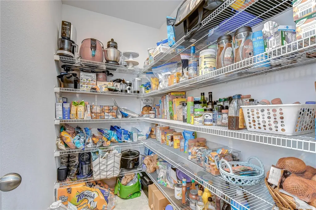 17917 Cloudless Bliss Drive Lutz FL 33558