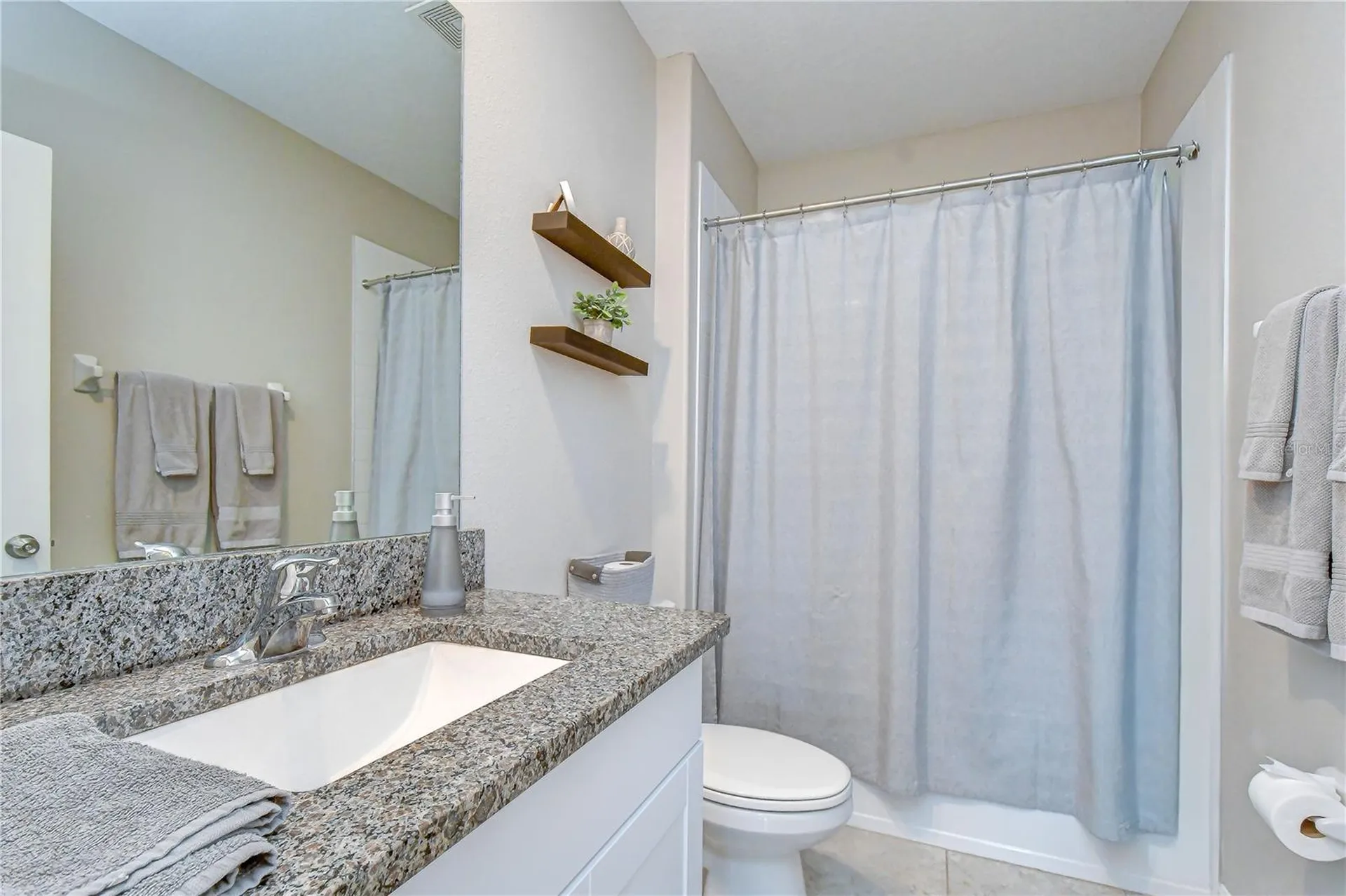 17917 Cloudless Bliss Drive Lutz FL 33558