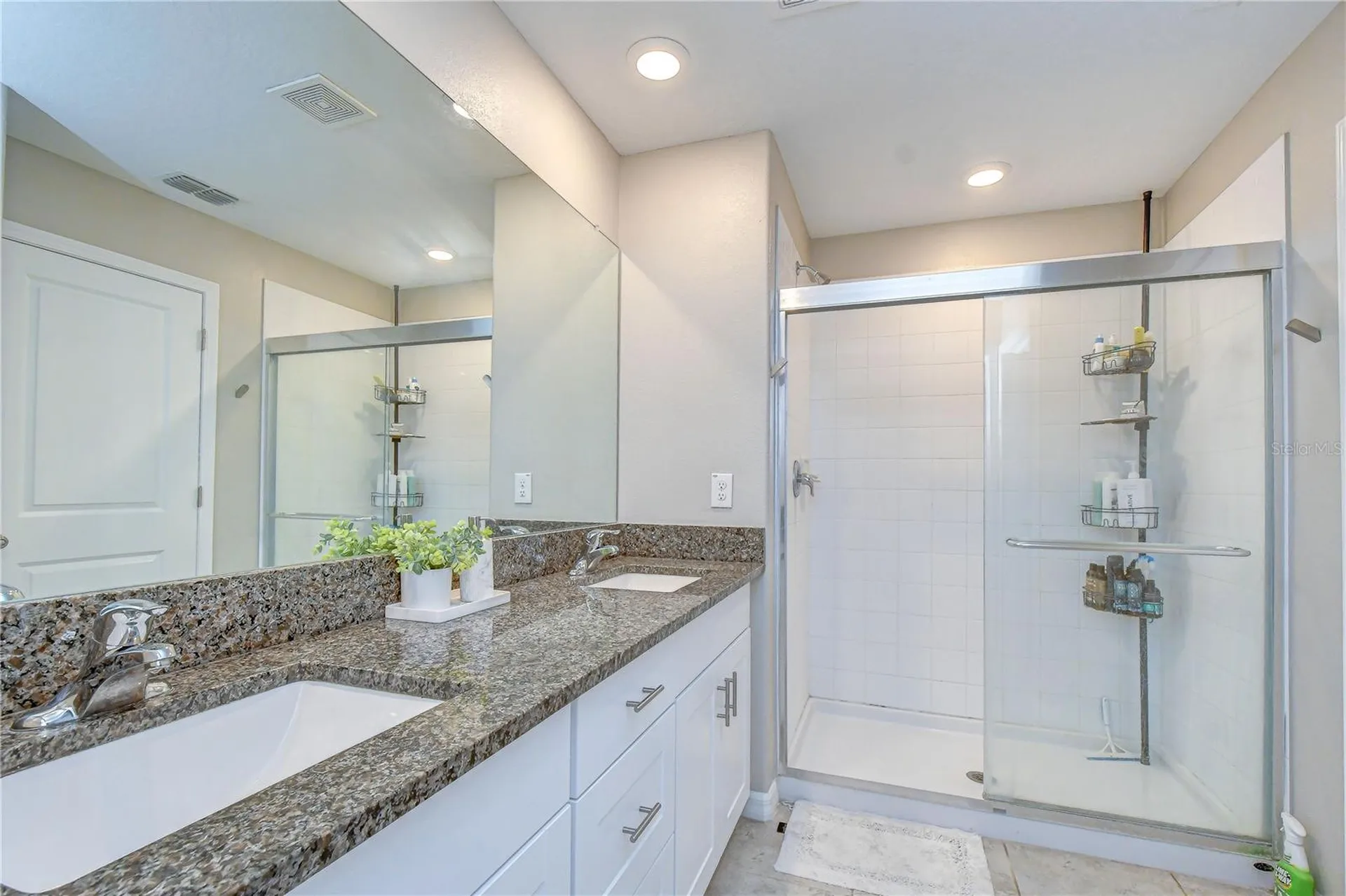 17917 Cloudless Bliss Drive Lutz FL 33558