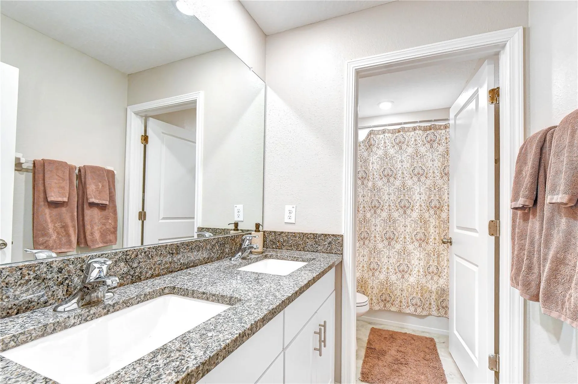 17917 Cloudless Bliss Drive Lutz FL 33558