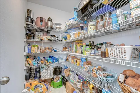 17917 Cloudless Bliss Drive Lutz FL 33558