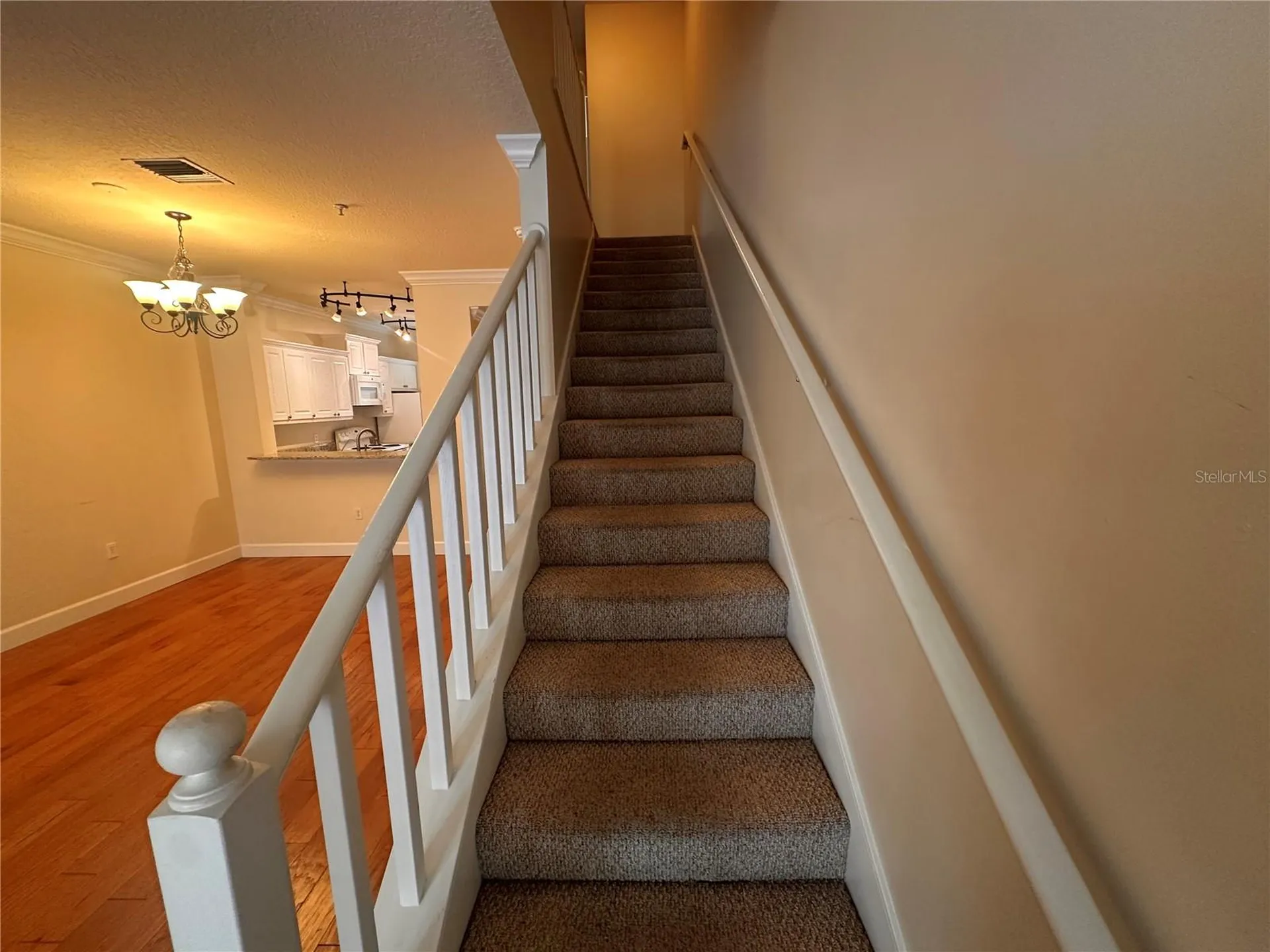 709 Bloom Street Celebration FL 34747