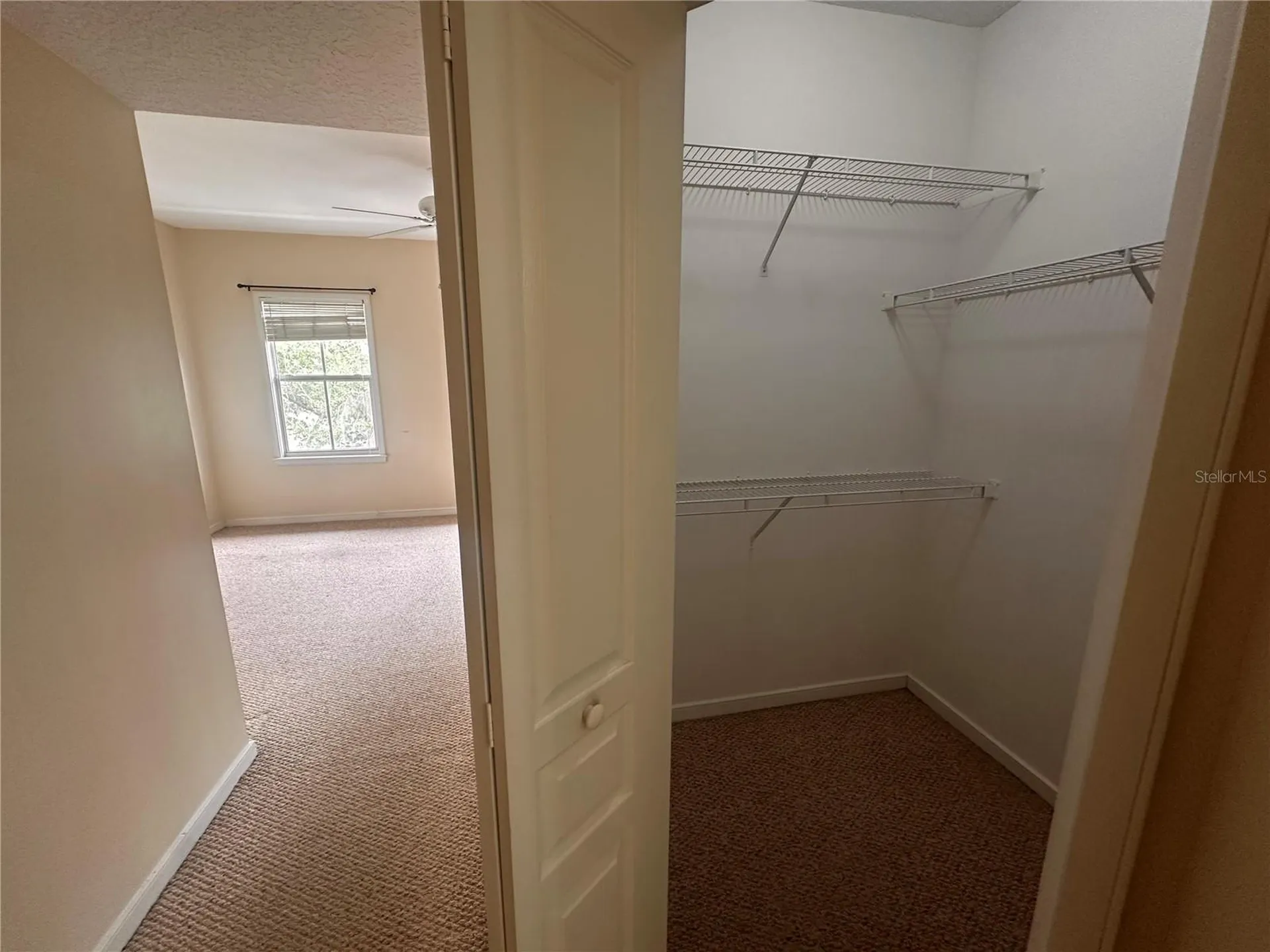709 Bloom Street Celebration FL 34747