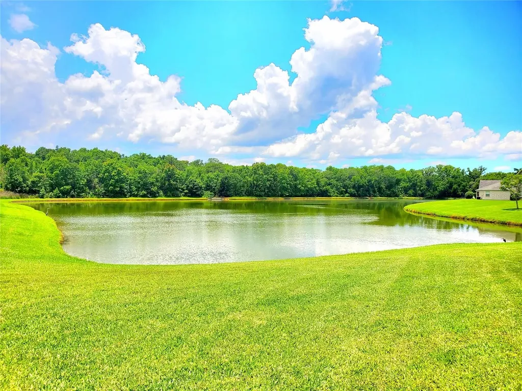 25644 Frith Street Land O Lakes FL 34639