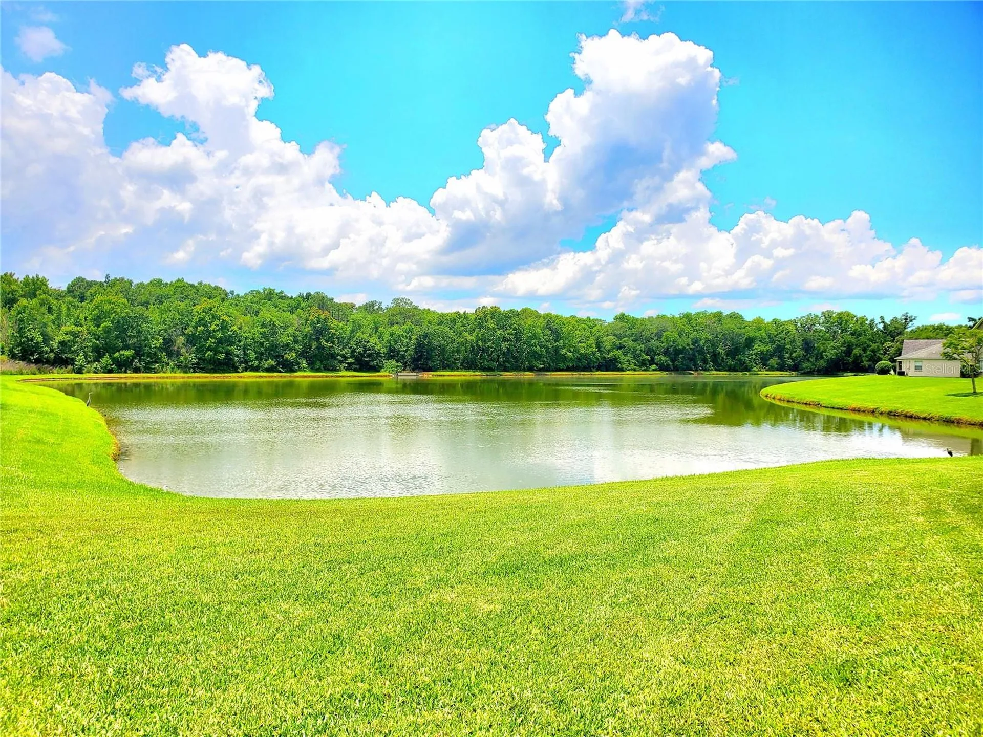25644 Frith Street Land O Lakes FL 34639