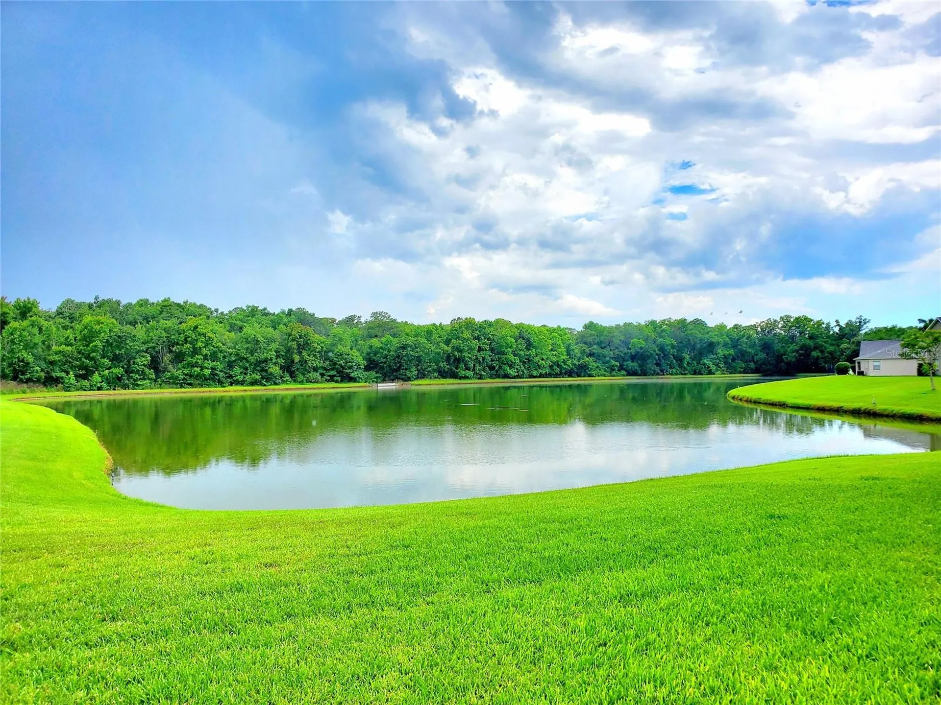 25644 Frith Street Land O Lakes FL 34639