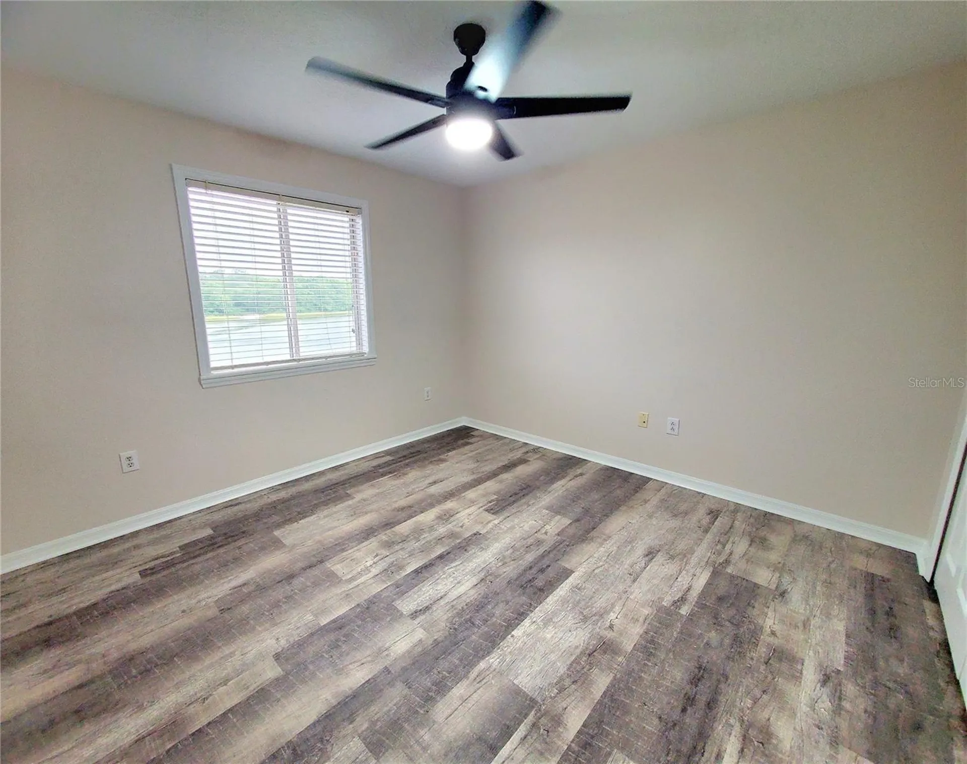 25644 Frith Street Land O Lakes FL 34639