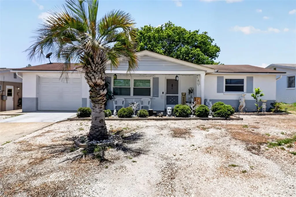 3625 Cockatoo Drive New Port Richey FL 34652