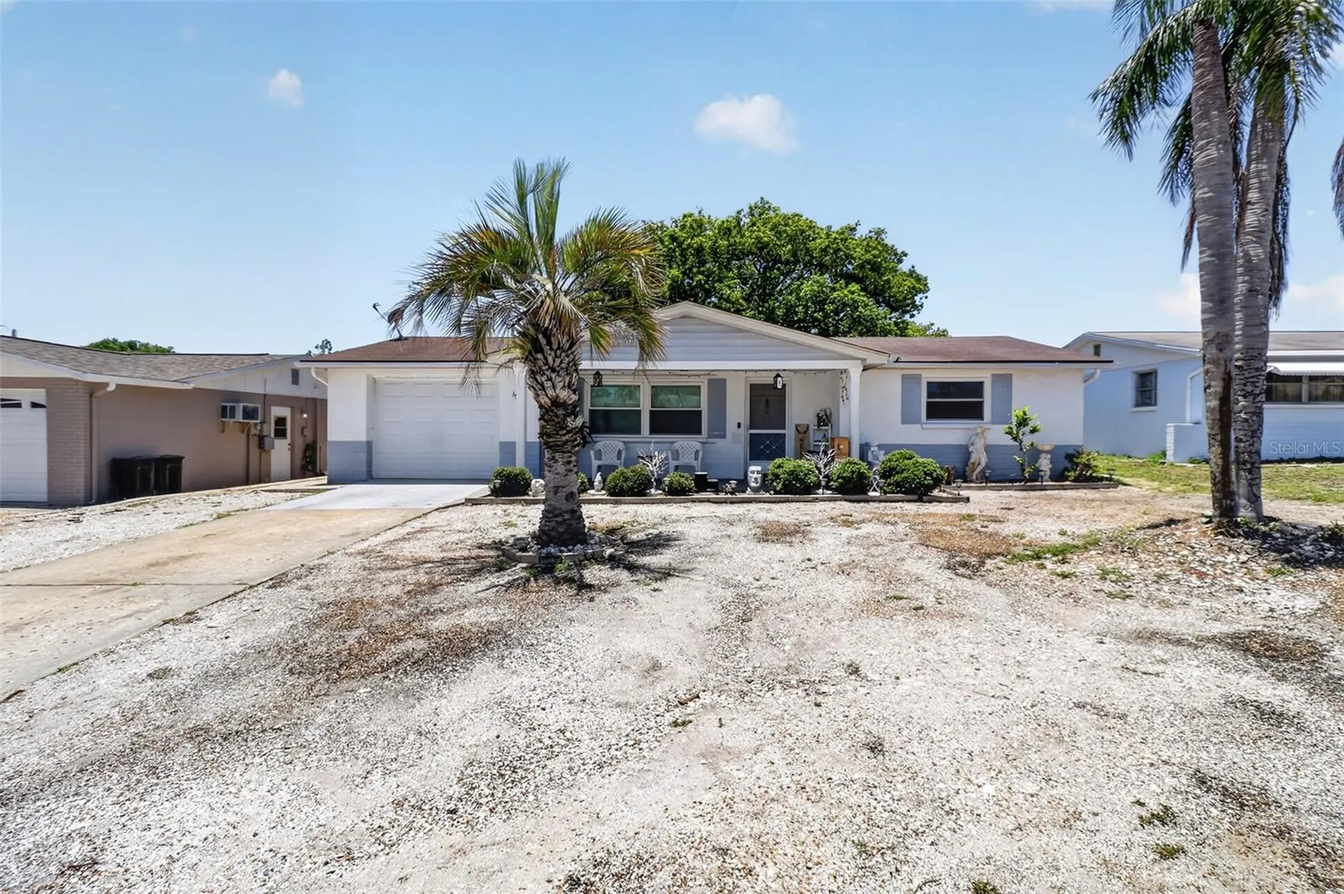 3625 Cockatoo Drive New Port Richey FL 34652