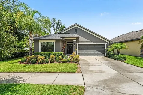12004 Legacy Bright Street Riverview FL 33578