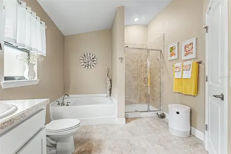 12004 Legacy Bright Street Riverview FL 33578