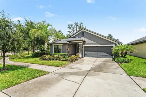 12004 Legacy Bright Street Riverview FL 33578
