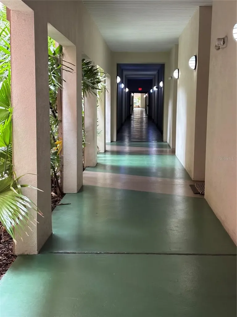 2331 W Horatio Street Tampa FL 33609