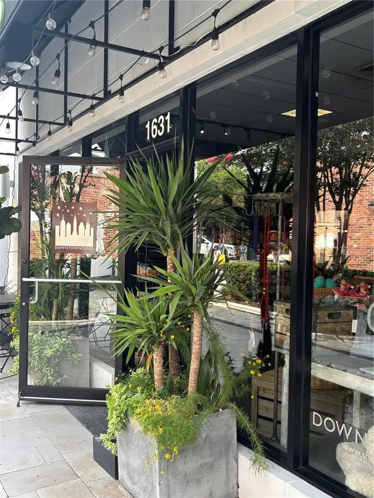 2331 W Horatio Street Tampa FL 33609