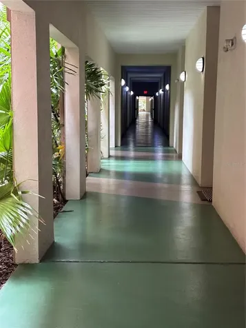 2331 W Horatio Street Tampa FL 33609