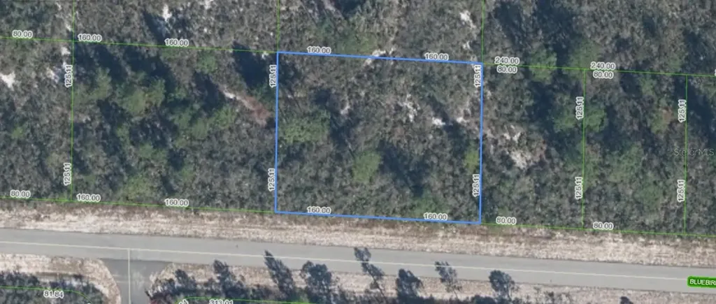 3427 Bluebird Avenue Lake Placid FL 33852