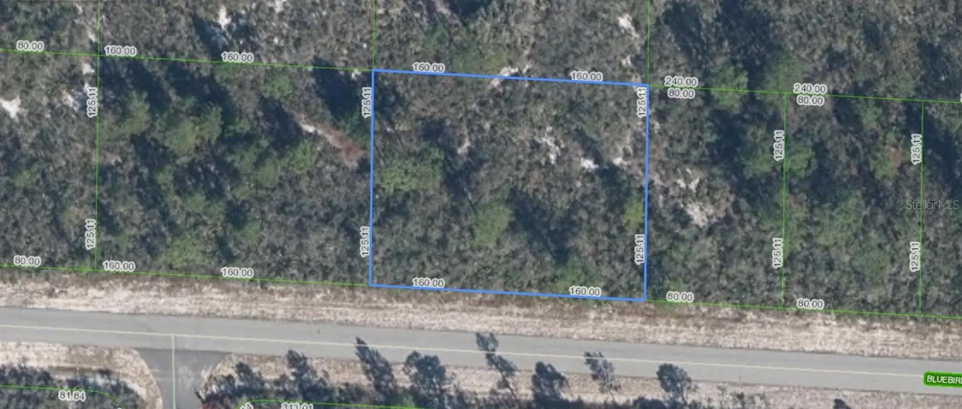 3427 Bluebird Avenue Lake Placid FL 33852