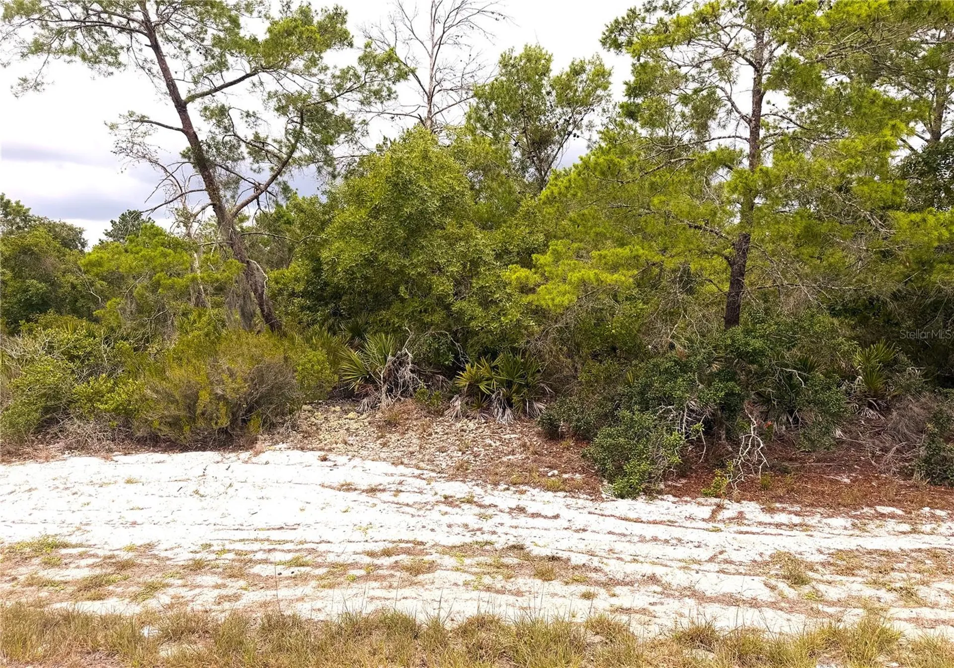 209 Coolidge Avenue NE Lake Placid FL 33852