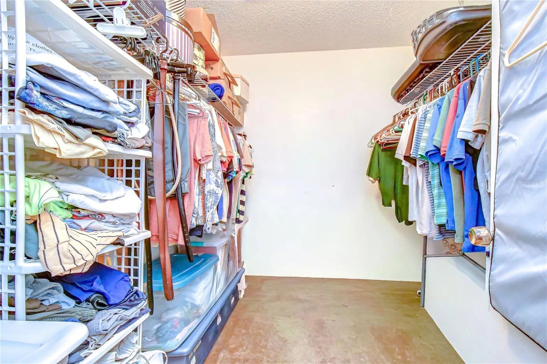 4008 Ashford Green Place Tampa FL 33613