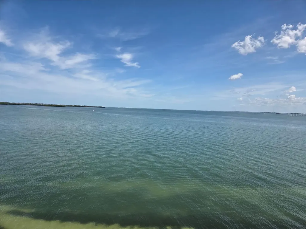 9 Haig Place Dunedin FL 34698