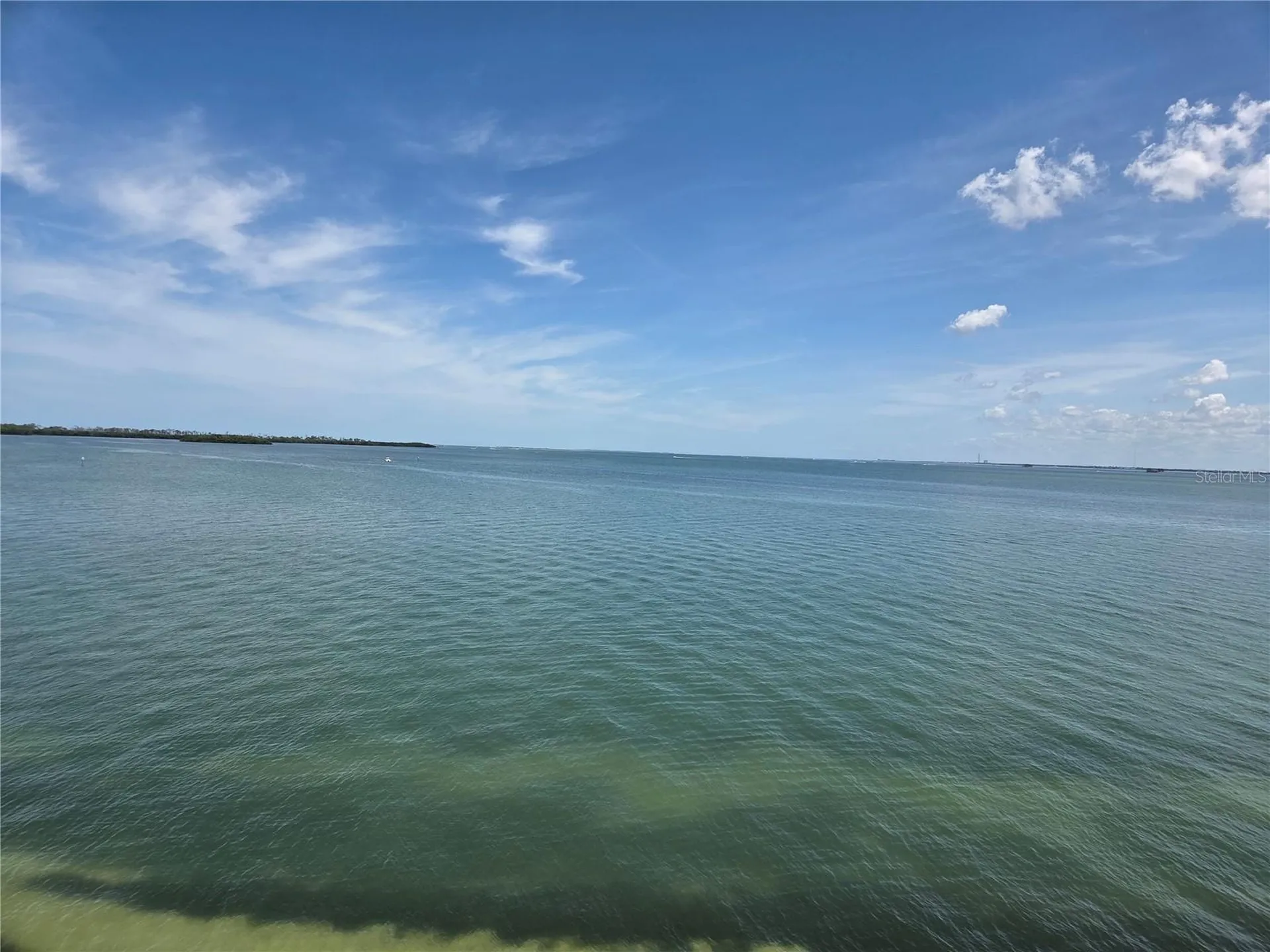9 Haig Place Dunedin FL 34698