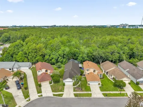 11278 Papyrus Lane Orlando FL 32821