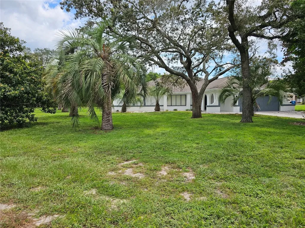 10186 Sleepy Willow Court Spring Hill FL 34608