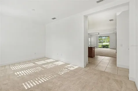 4107 Pine Meadow Drive Parrish FL 34219