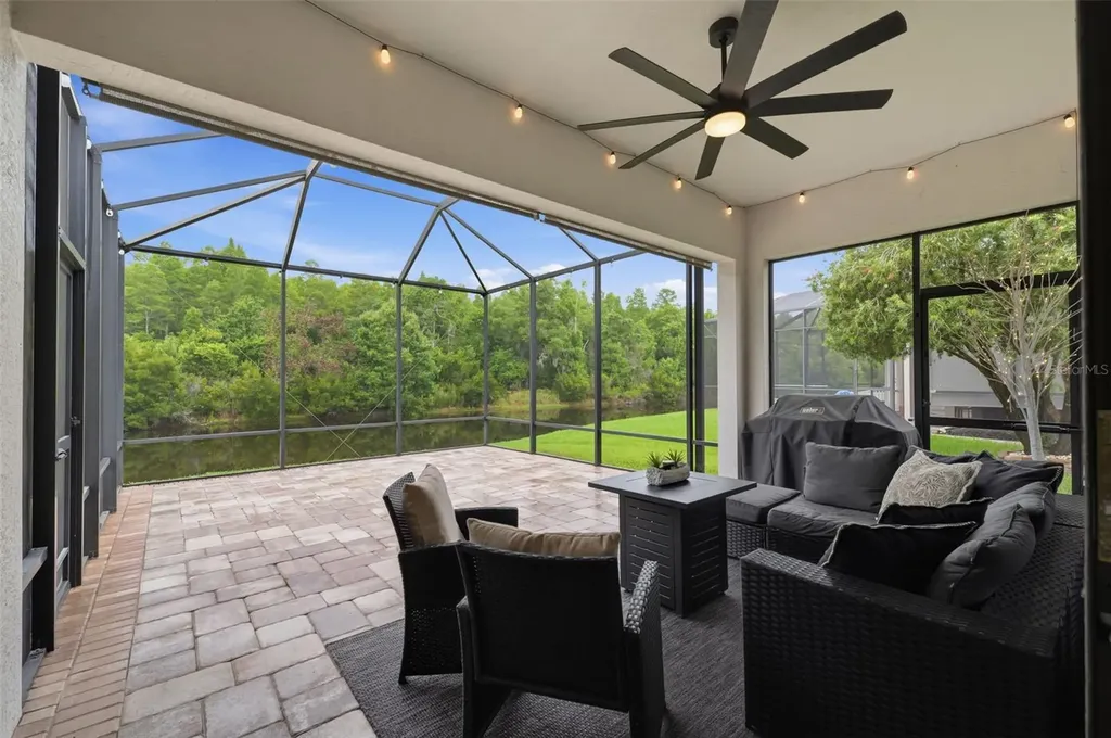 1115 Ketzal Drive Trinity FL 34655