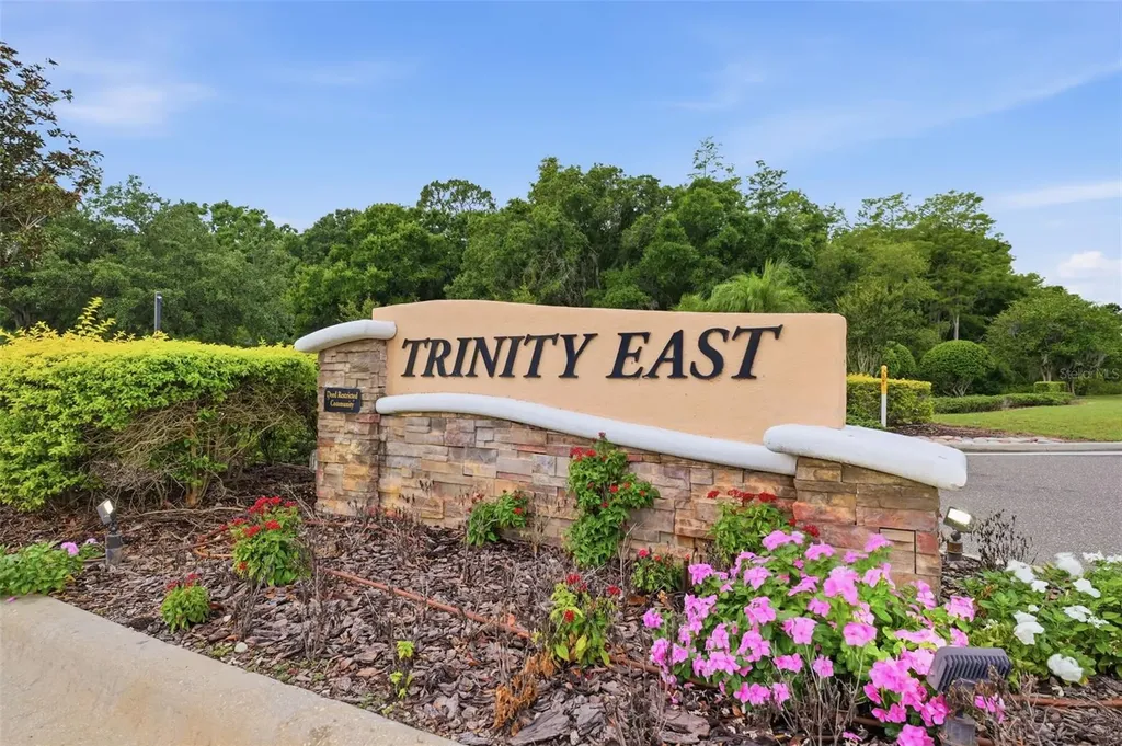 1115 Ketzal Drive Trinity FL 34655