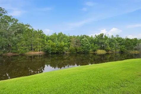 1115 Ketzal Drive Trinity FL 34655