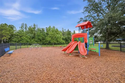 1115 Ketzal Drive Trinity FL 34655