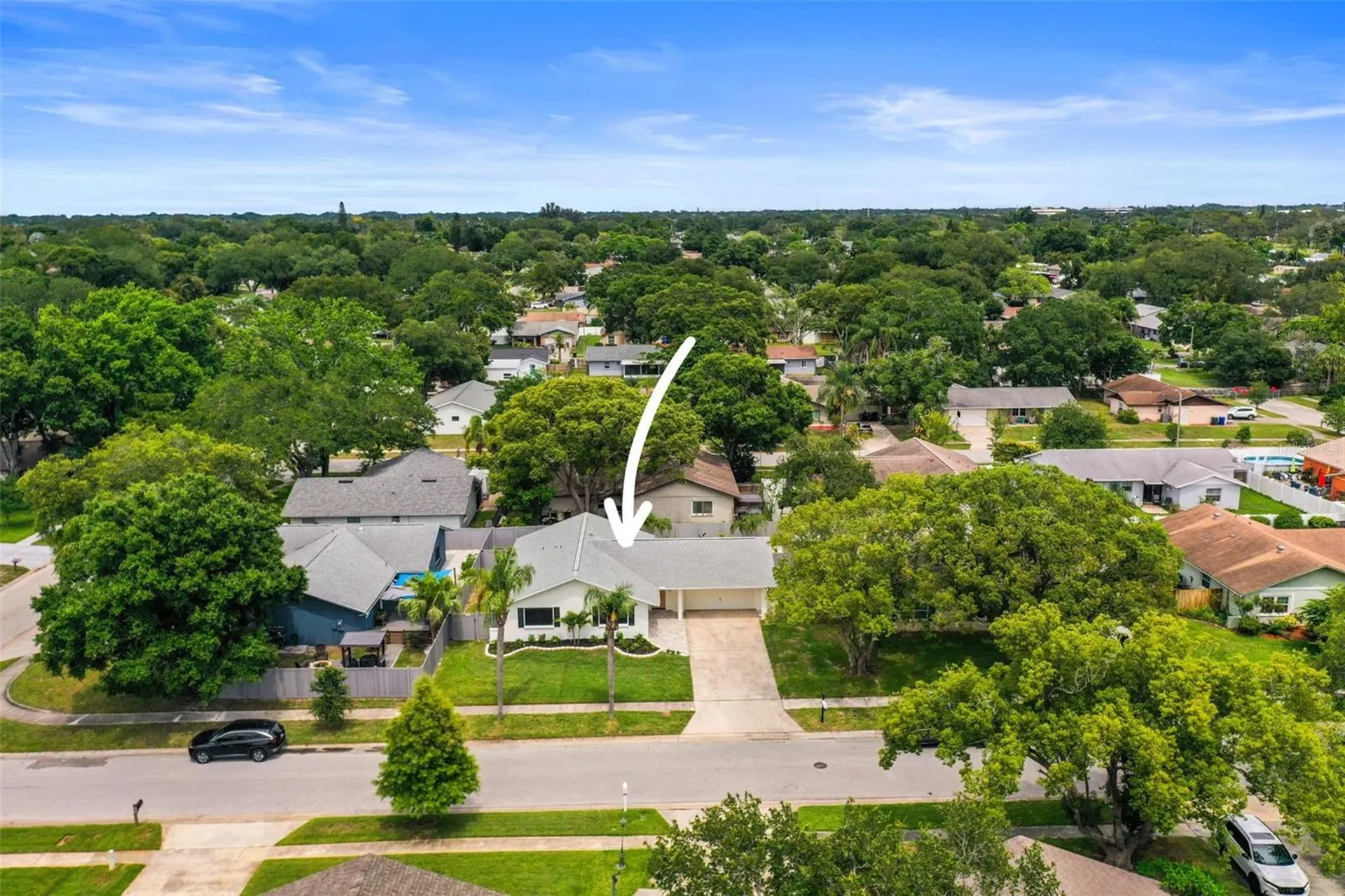 1591 Cottonwood Terrace Dunedin FL 34698