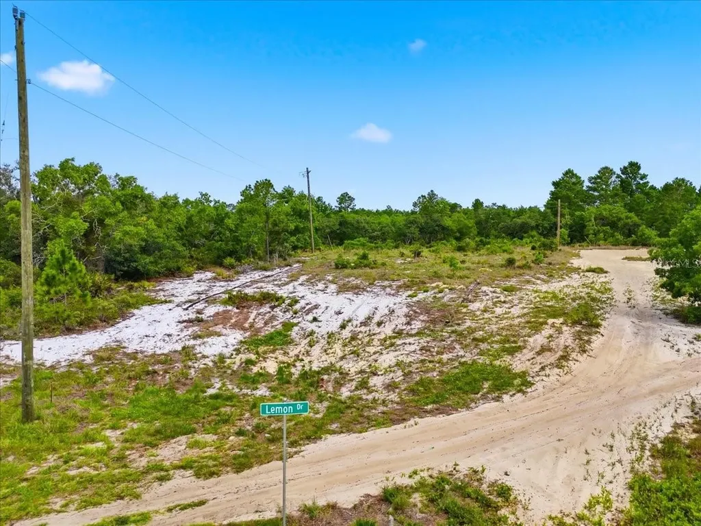 2000 Lemon Drive Lake Wales FL 33898
