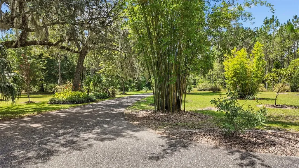 8851 NW 115th Street Chiefland FL 32626