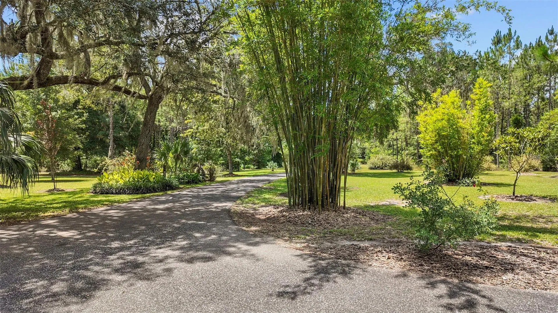 8851 NW 115th Street Chiefland FL 32626