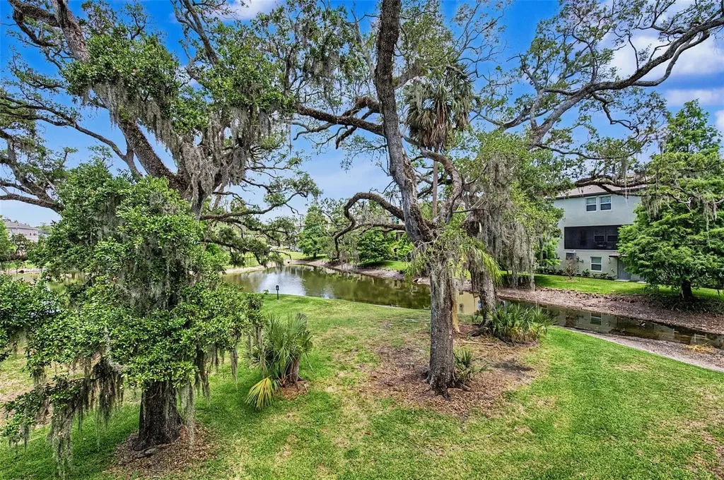 4731 Tuscan Loon Drive Tampa FL 33619