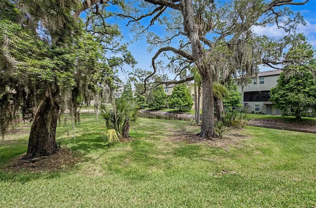 4731 Tuscan Loon Drive Tampa FL 33619