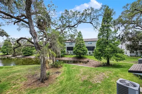 4731 Tuscan Loon Drive Tampa FL 33619