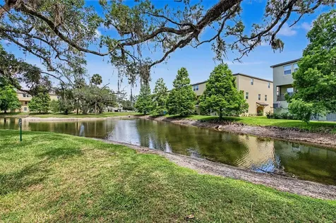 4731 Tuscan Loon Drive Tampa FL 33619